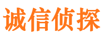 范县调查公司